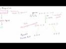 Glycolysis